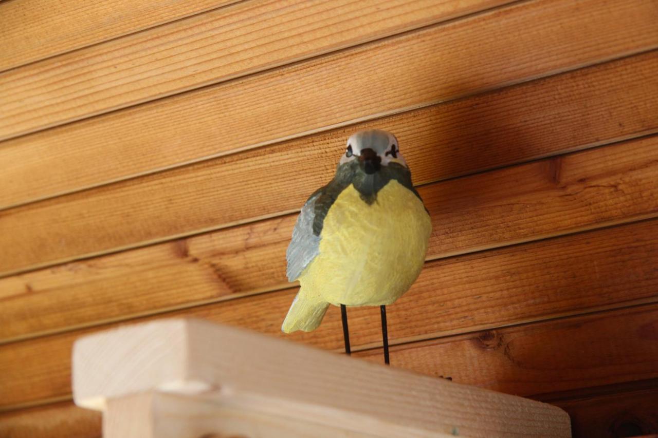 ホテル Tiny Pipowagen Koolmees Oudesluis  エクステリア 写真